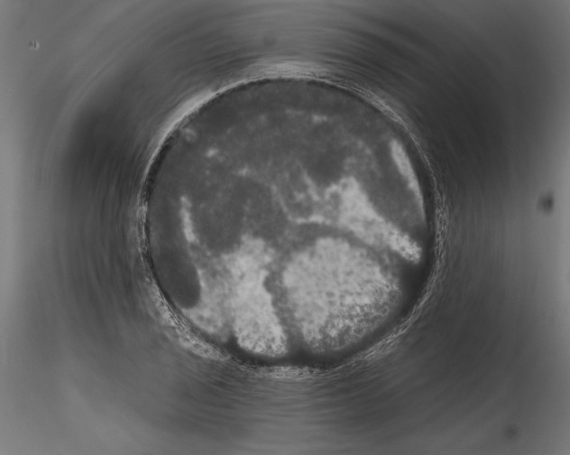 X0000114581029200911301330