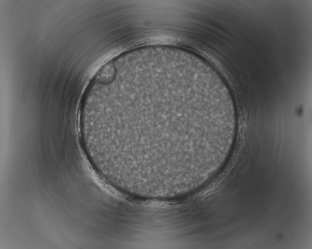 X0000114581034200911301330