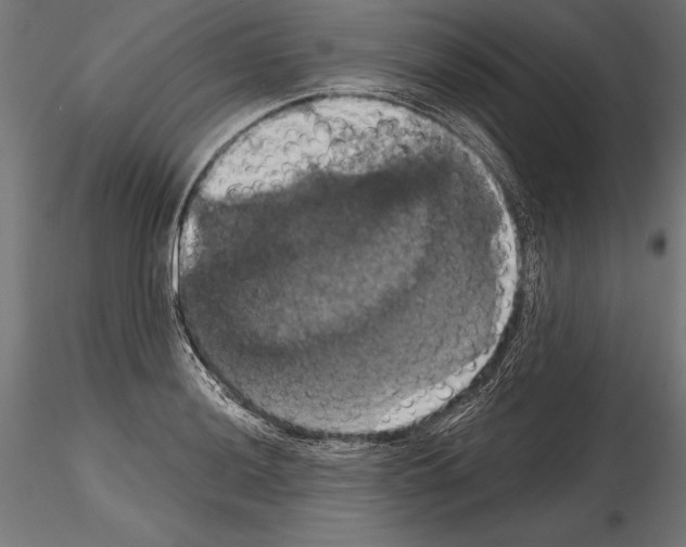 X0000114581036200911301330