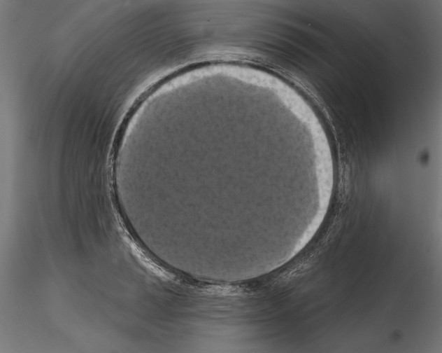 X0000114581037200911301330