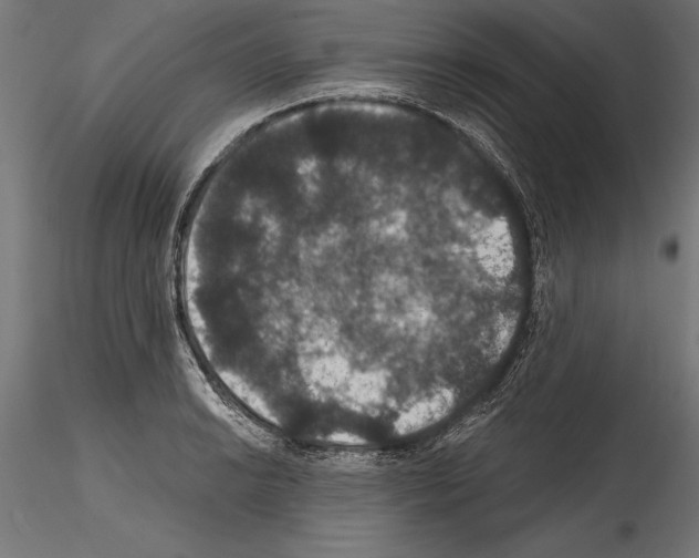 X0000114581038200911301330