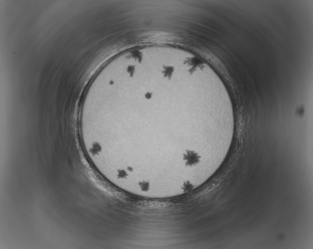 X0000114581039200911301330