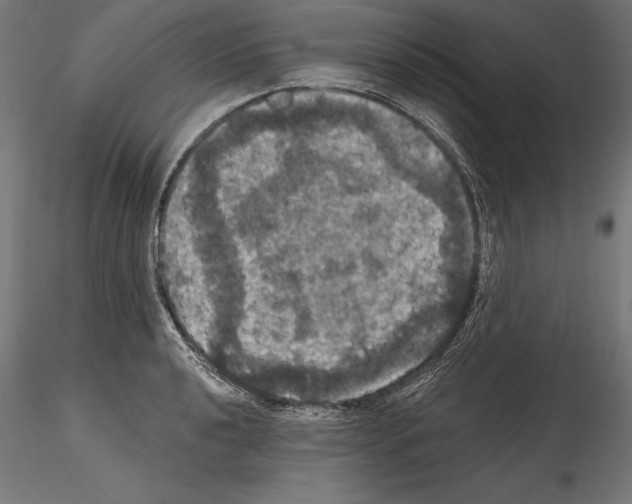 X0000114581040200911301330