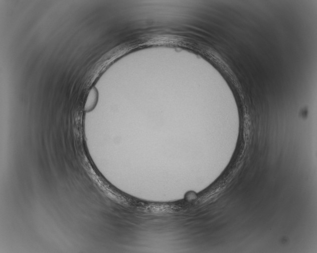 X0000114581041200911301330