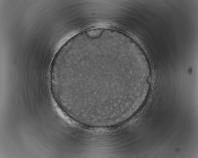 X0000114581042200911301330