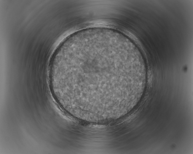 X0000114581043200911301330