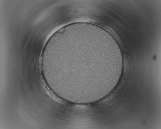 X0000114581044200911301330