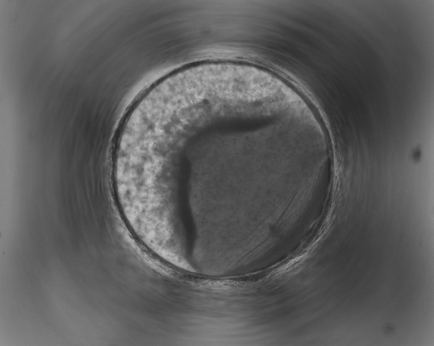 X0000114581045200911301330