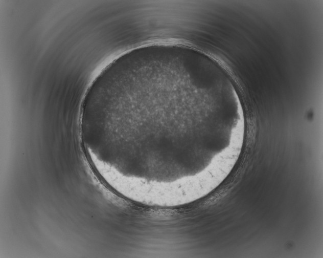 X0000114581046200911301330