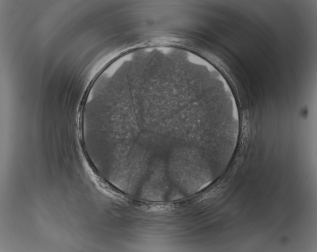 X0000114581047200911301330