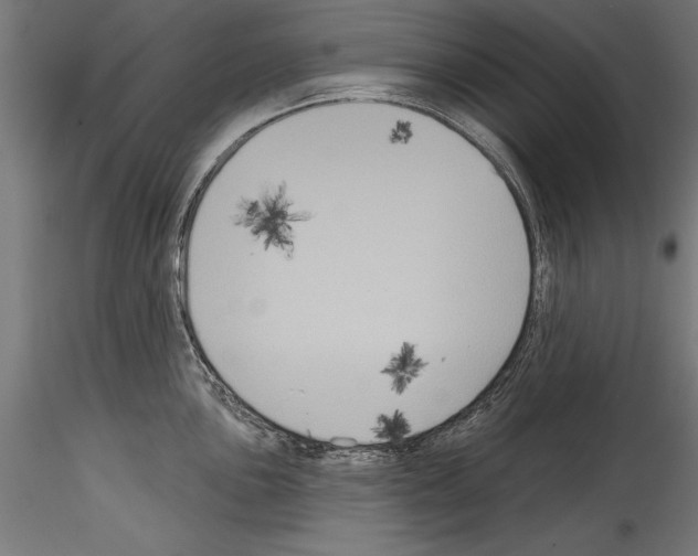 X0000114581051200911301330