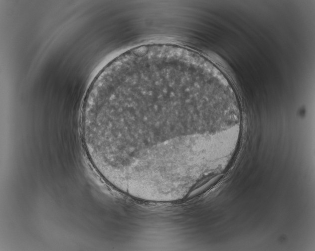 X0000114581052200911301330