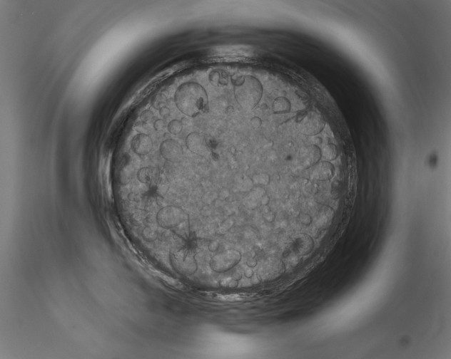 X0000114581054200911301330