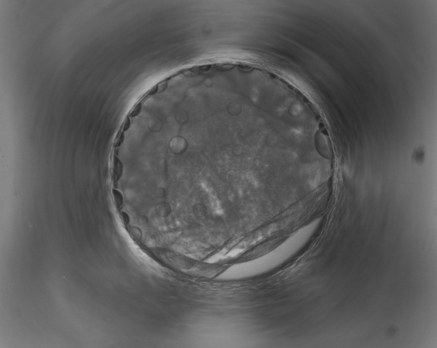 X0000114581055200911301330