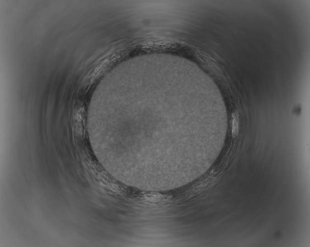 X0000114581059200911301329