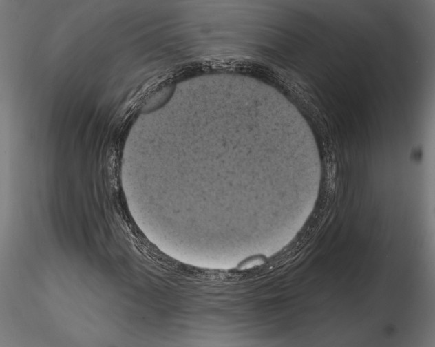 X0000114581060200911301329