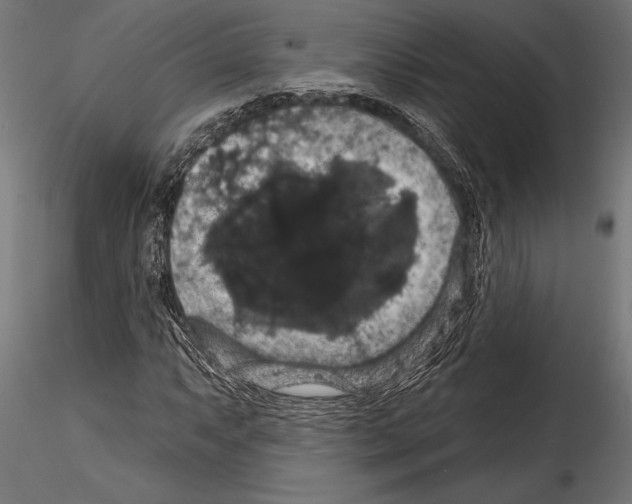 X0000114581063200911301329