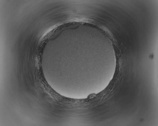 X0000114581064200911301329