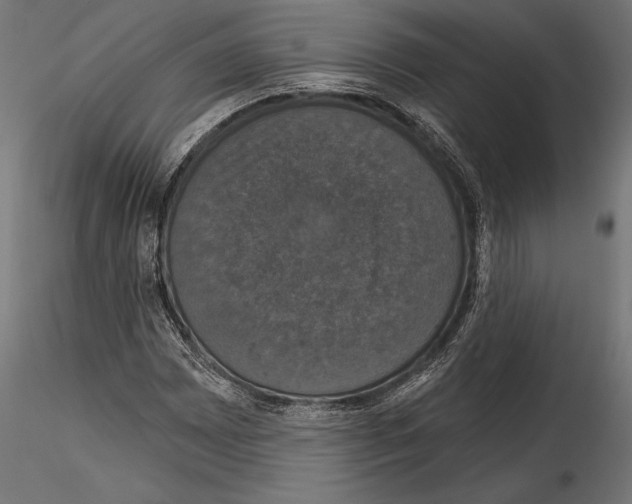 X0000114581065200911301329