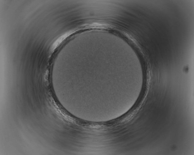 X0000114581066200911301329