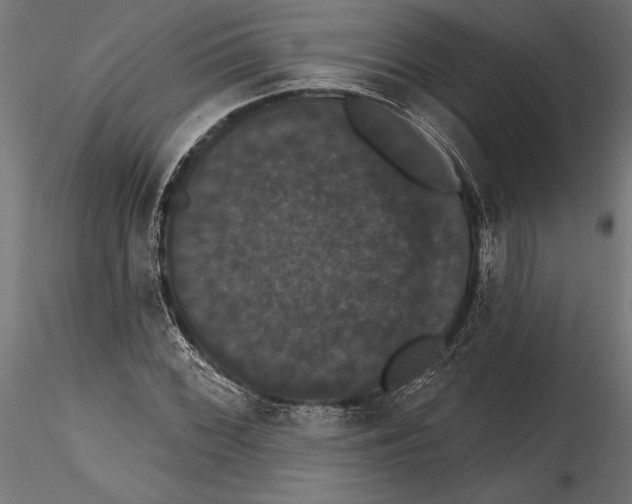 X0000114581068200911301329