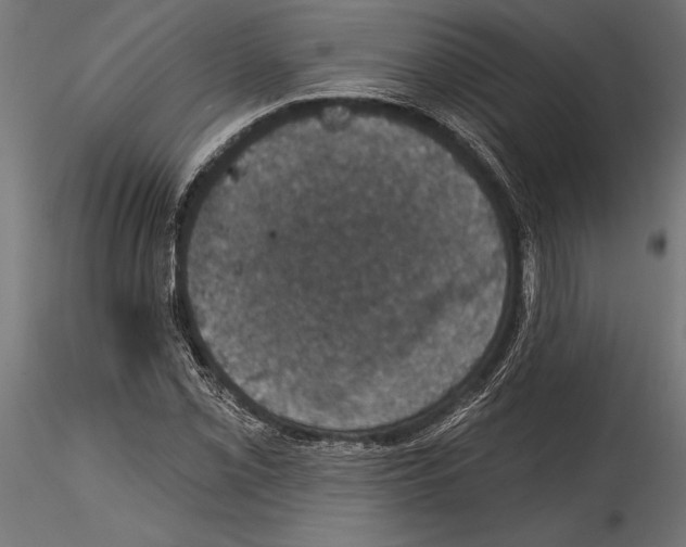 X0000114581069200911301329