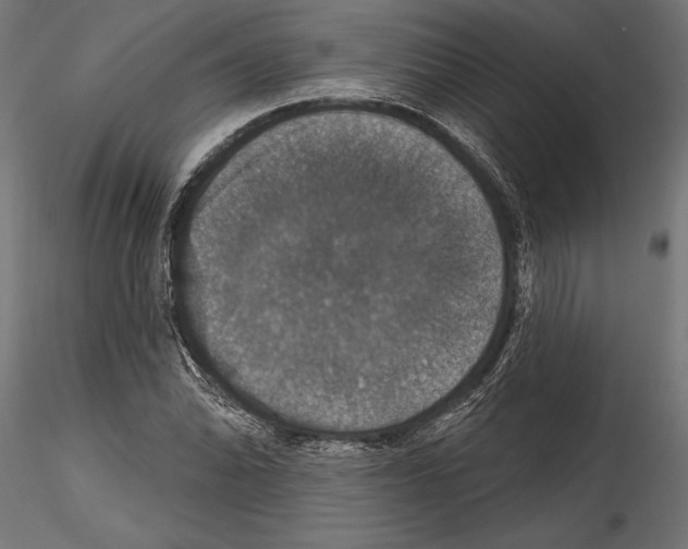 X0000114581070200911301329