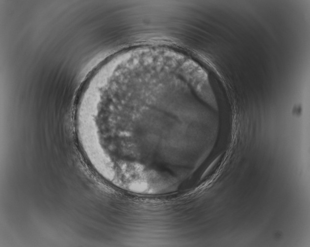 X0000114581071200911301329