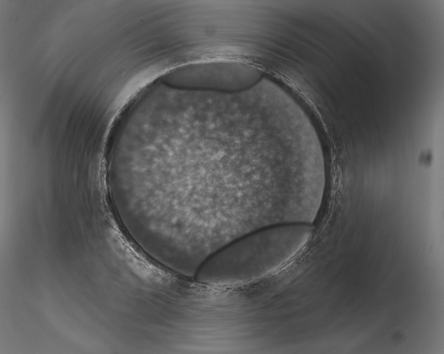 X0000114581072200911301329