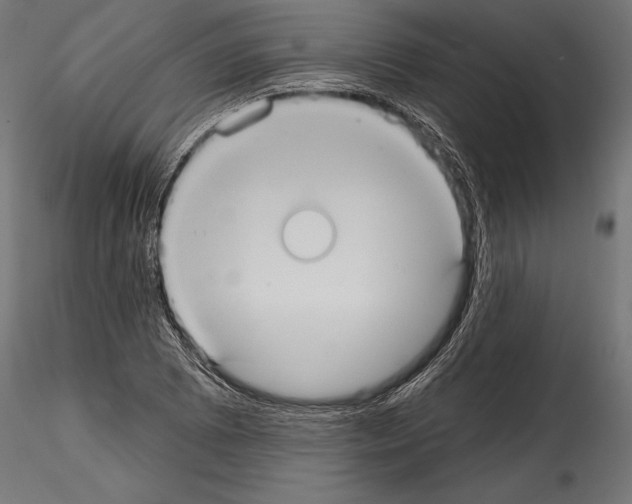 X0000114581073200911301329