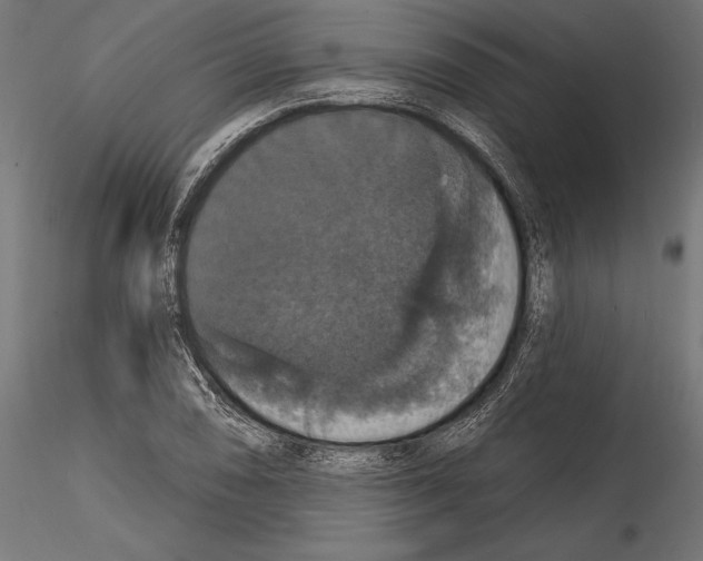 X0000114581074200911301329