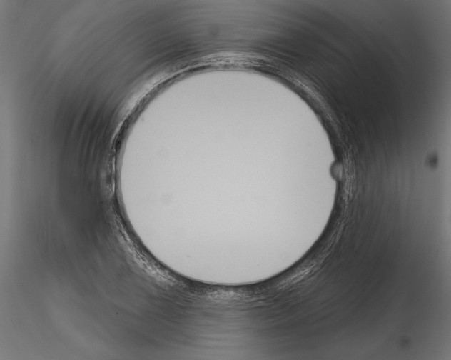 X0000114581075200911301329