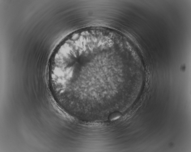 X0000114581076200911301329