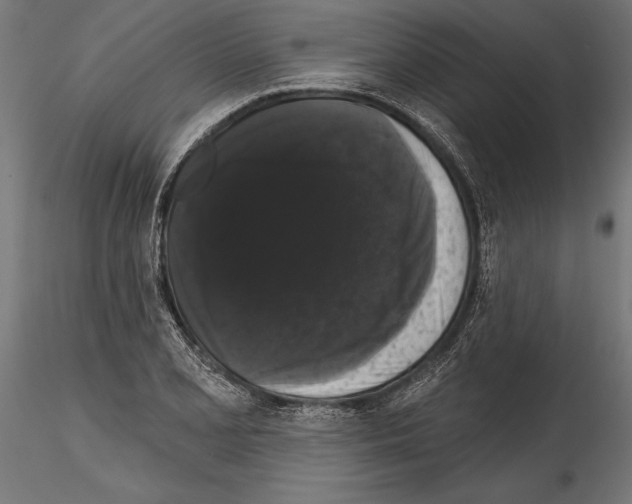 X0000114581077200911301329