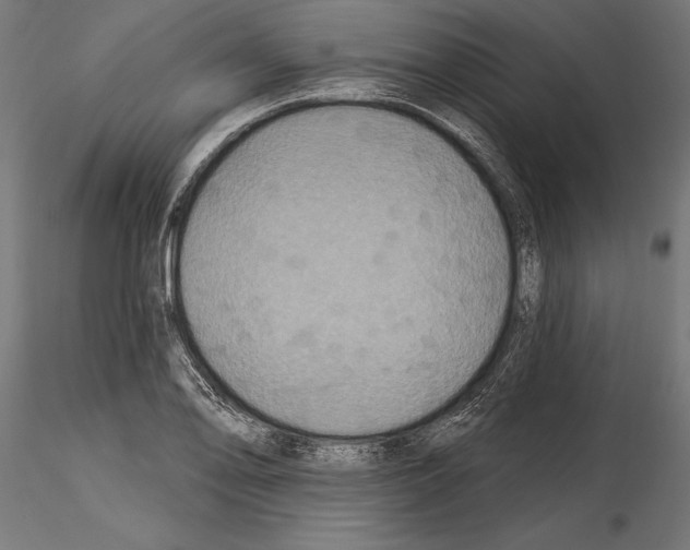 X0000114581078200911301329