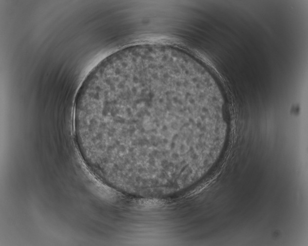 X0000114581079200911301329