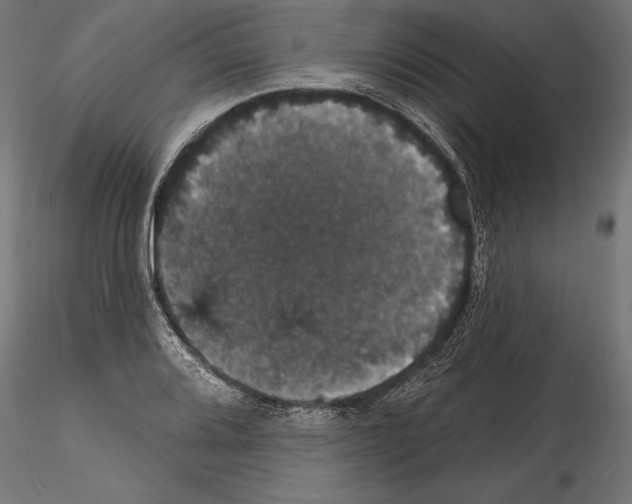 X0000114581080200911301329