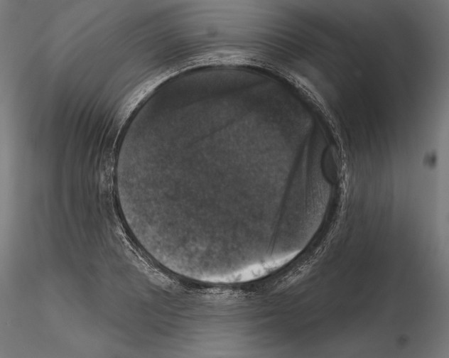 X0000114581081200911301329