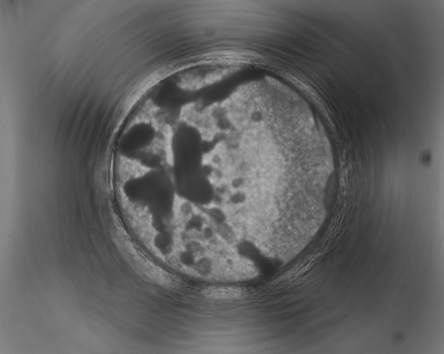 X0000114581083200911301329