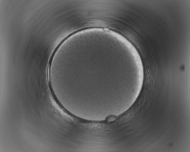 X0000114581084200911301329