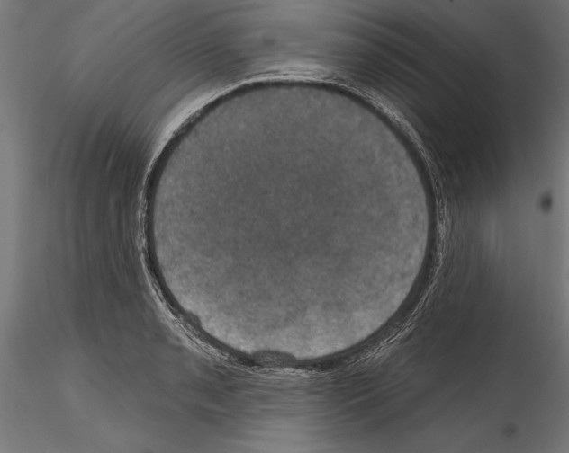 X0000114581085200911301329