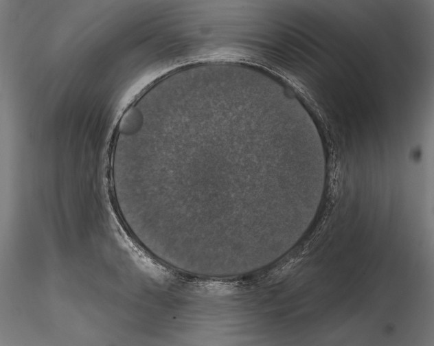 X0000114581086200911301329