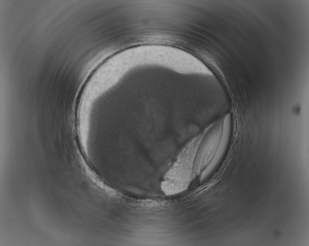 X0000114581087200911301329