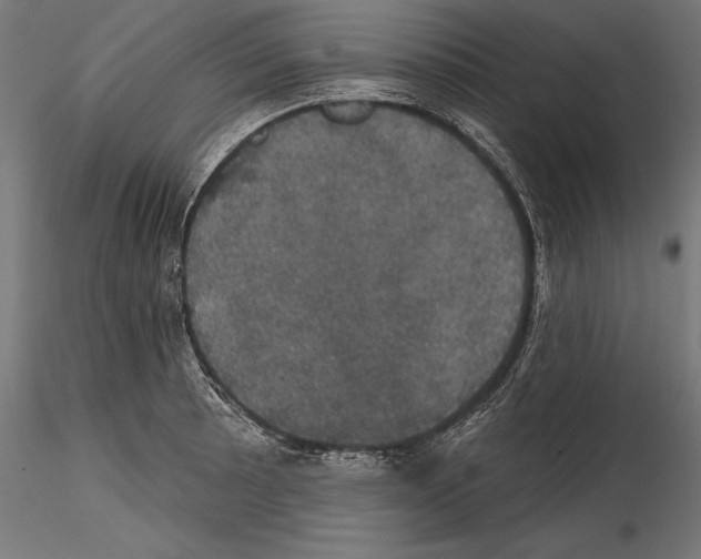 X0000114581089200911301329