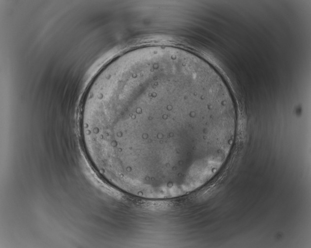 X0000114581090200911301329