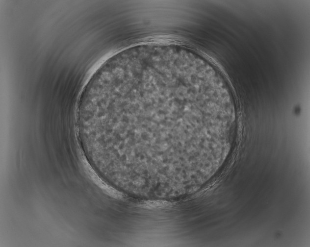 X0000114581091200911301329