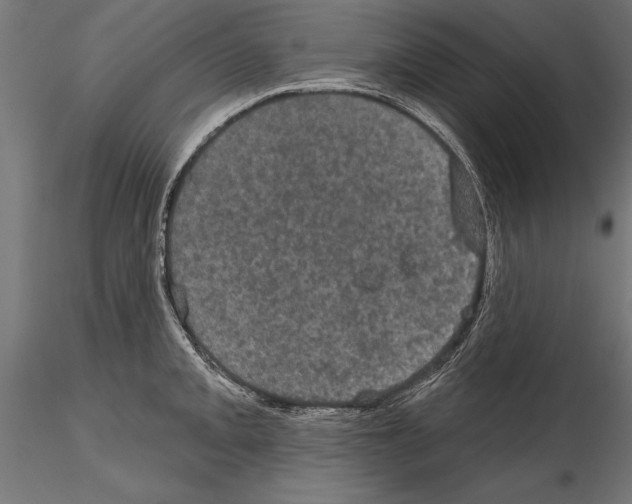 X0000114581093200911301329