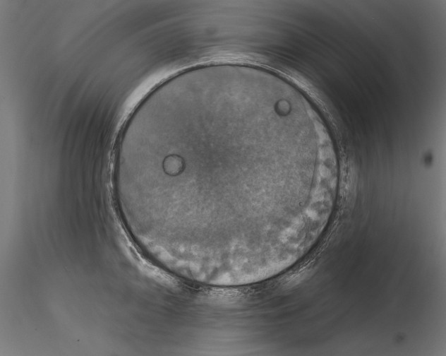 X0000114581094200911301329