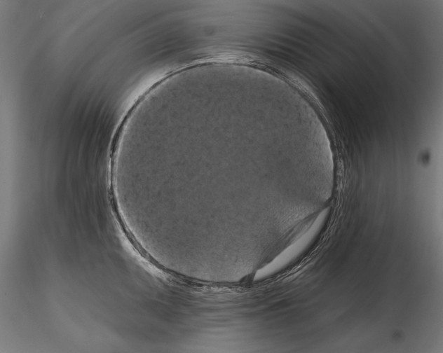 X0000114581095200911301329