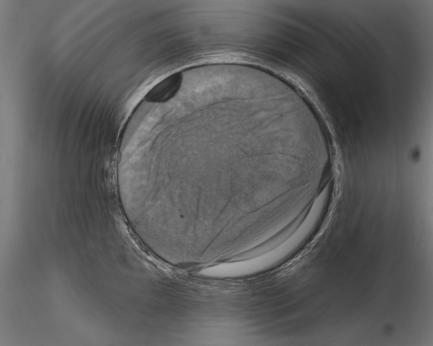 X0000114581097200911301329